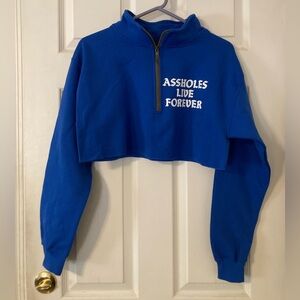 ALF Blue Cropped Sweater